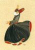 whirling_dervish_Tulay_w500.jpg